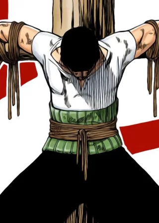 Illustration de la carte Roronoa Zoro - Introduction